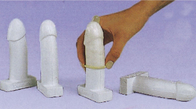 Lebensechtes männliches Kondom-Trainings-Werkzeug Penis-Modell-Simulator 12pcs