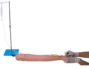 Lebensechtes Krankenhaus, das multi Schleier Venipuncture-Arm ausbildet