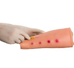 Soem-PVC-Unterarm, der intradermale Einspritzungs-Modell ausbildet