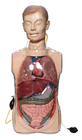 Transparente Magenspülungs-Simulatoren mit Anatony-Organen für klinisches Training