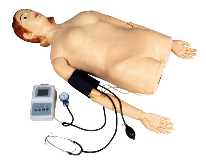 Weiblicher halb- Körper-Abtasten-Simulator mit Blut-Druckmessung für Schule, Krankenhaus