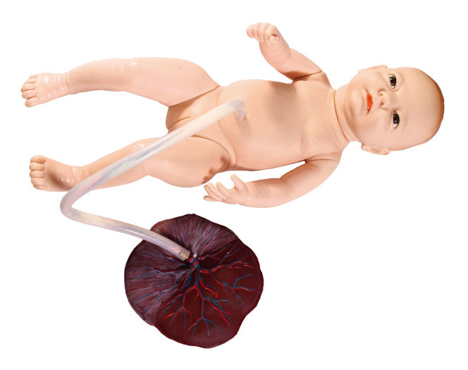 Kleiner weiblicher Neugeborener mit Nabelschnur-Krankenpflegesimulation fötales Modell ausbildend