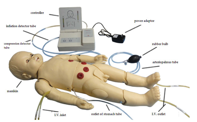 Auskultations-Simulator stellte ein,/pädiatrisches Simulations-Männchen mit ECG-Generator