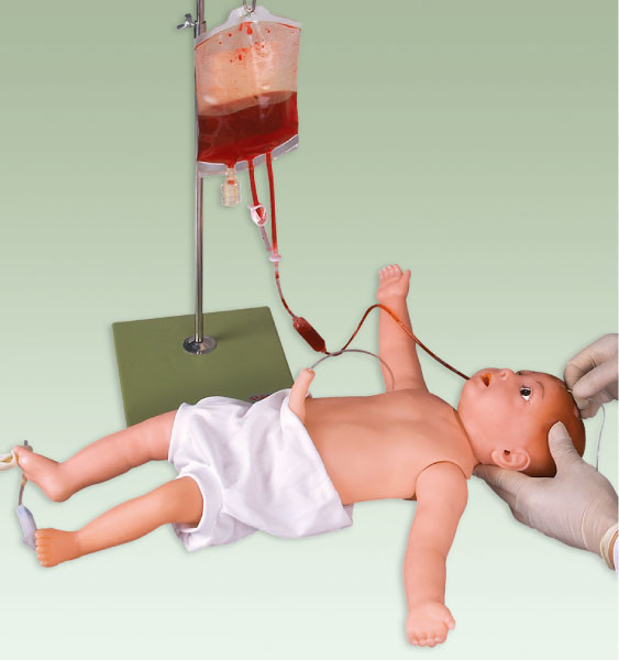 Modell der pädiatrischen Simulations-Männchen-/Babyeinspritzung mit venösen Blutgefäßen und Haut