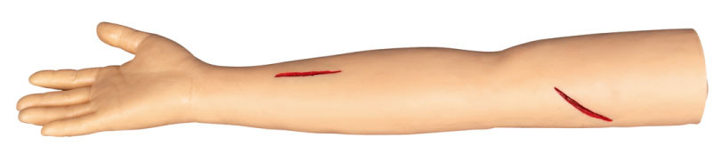 Nähen Sie Arm-chirurgische Trainings-Modelle für den Schnitt und das Nähen im colleage, Krankenhaus