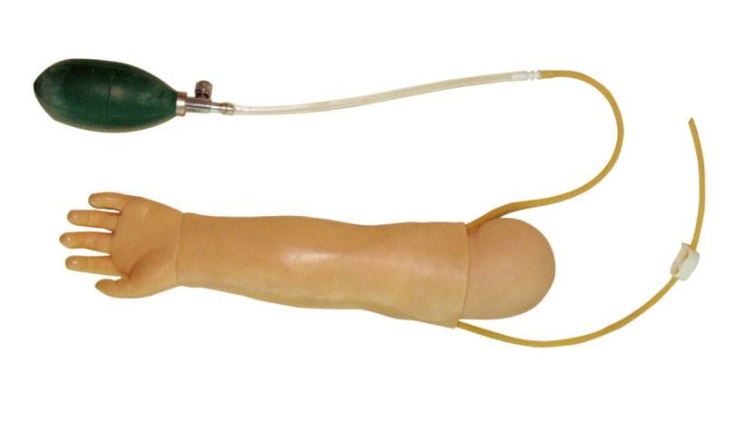 Linkes Arm-Säuglingsmodell mit Radialarterie für Schuldurchbohren-Training