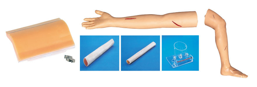Erwachsene Nahtbein- und -armausrüstung chirurgische Trainings-Modelle für Studentenausbildung