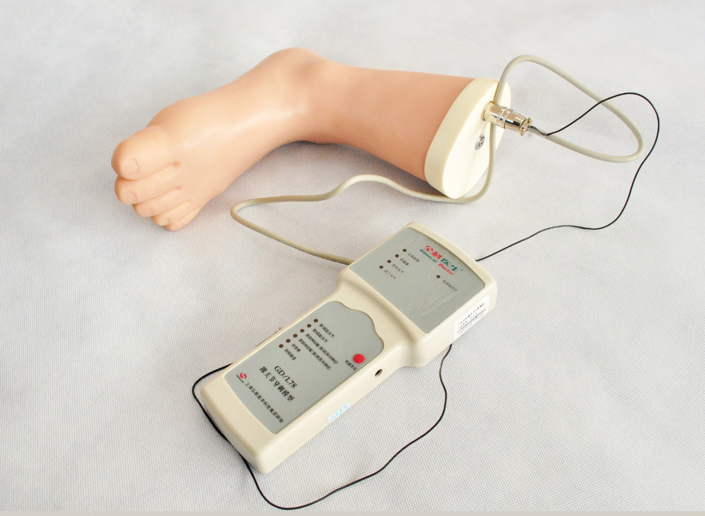Der Knöchel-Einspritzung Fuß der anatomischen Struktur Simulations-Trainingswerkzeug klinisches