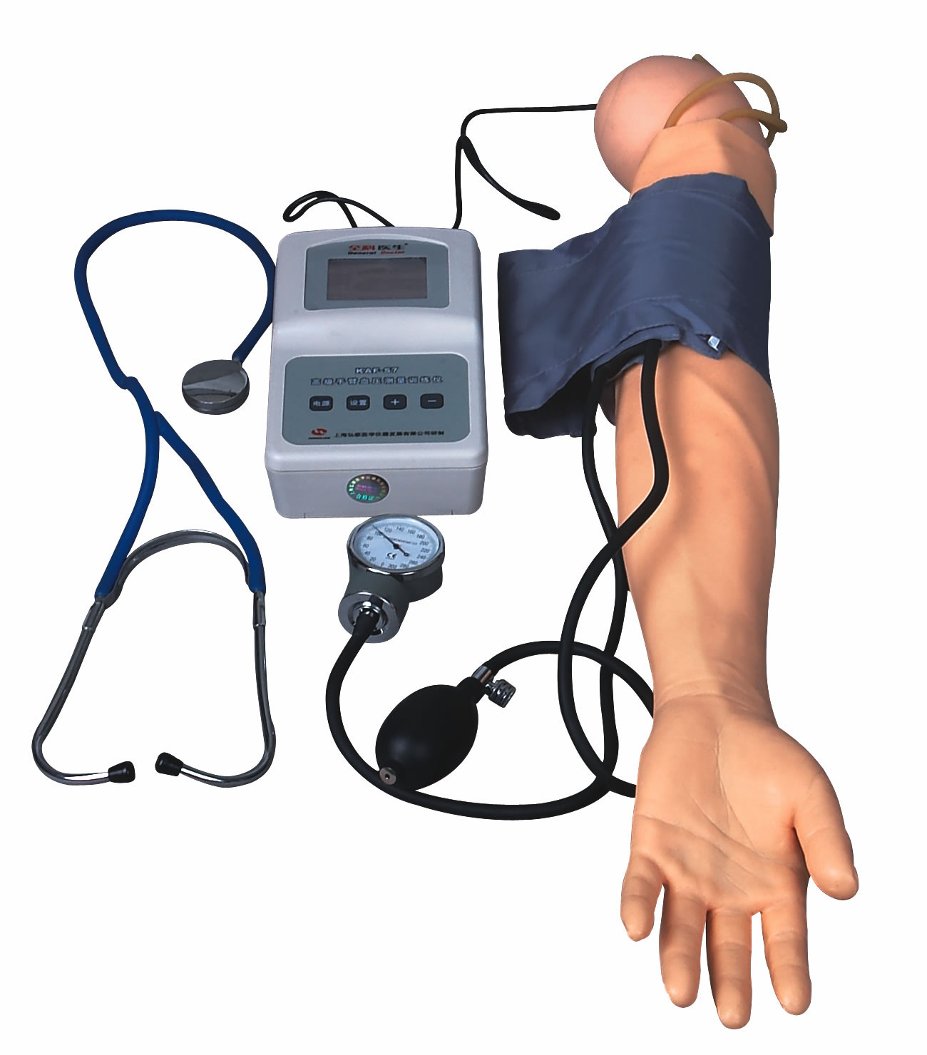 BP-Maß-Arm mit Übungs-Blutdruckmodell für medizinische Colleges und Schulen