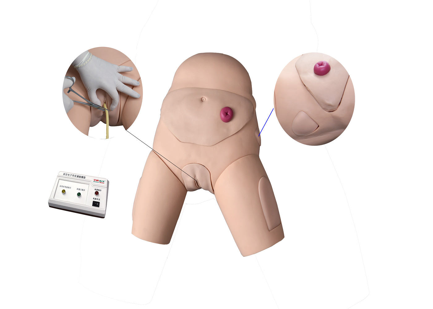 Elektronischer urethraler Katheterismus-und Klistier-Trainings-Simulator