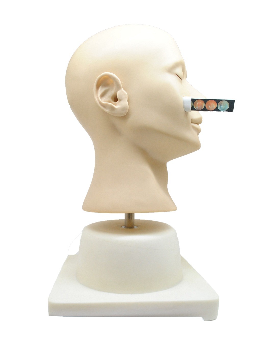 Moderne klinische Simulations-nasale Blutungs-Trainings-Puppe für College, Krankenhaus
