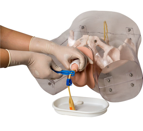 Männlicher urethraler Katheterismus-Simulator ISO-PVCs