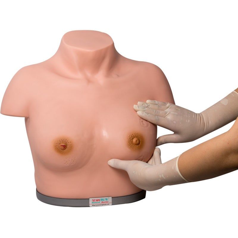 PVC-Brust-Prüfungs-Simulator-Inspektions-Abtasten
