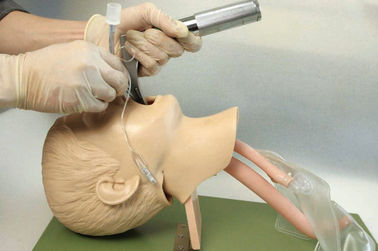 Realistische anatomische Struktur mit dem Mund der Kinder, Pharynx, Tracheafor für Intubations-Training