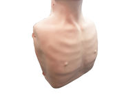 Herz-Lungen-Wiederbelebungs-Simulator