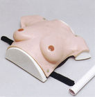 Weibliche Krankenhaussimulator modreate Größenbrust des oberen Körpers für Brusttumorprüfung