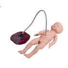 Sgs-PVC-Trainings-Baby-Geburts-Simulator mit Nabelschnur