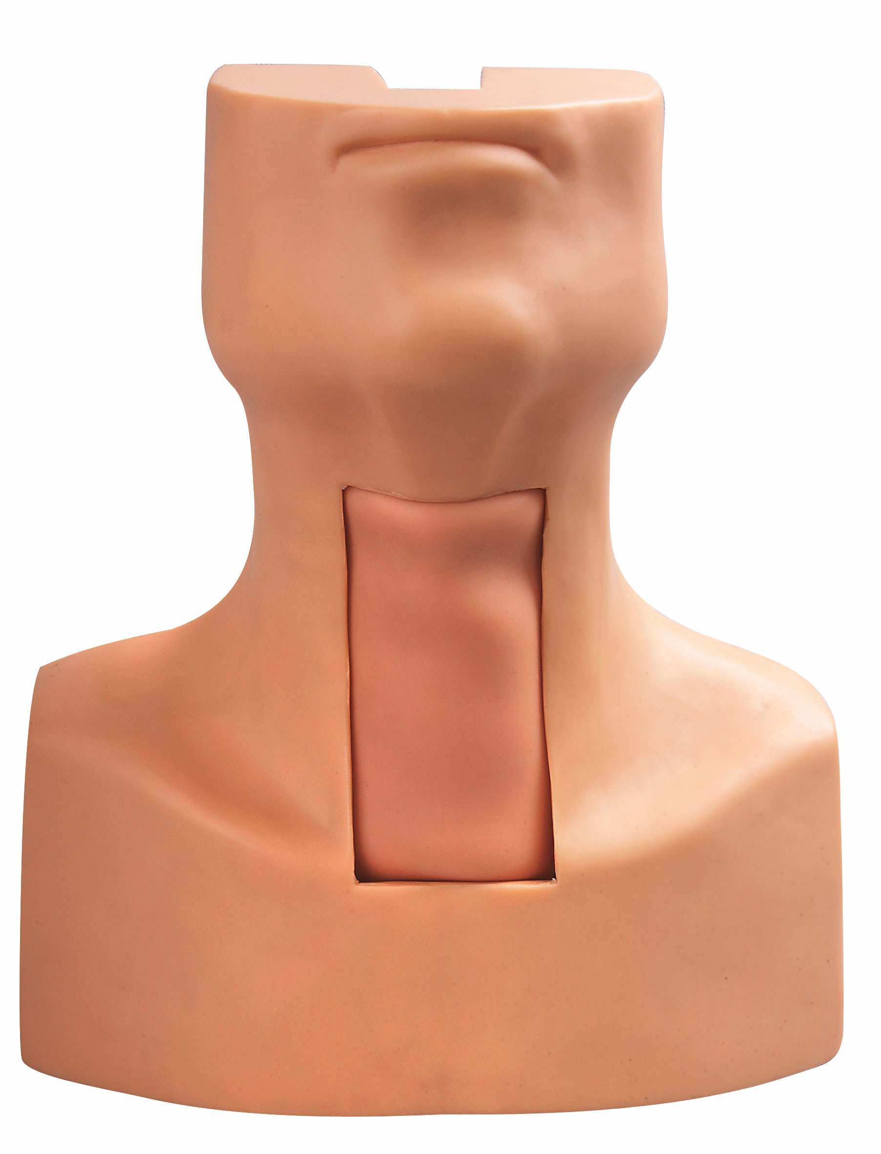 Tracheostomy-Durchbohren-Intubations-Modell mit simulierter Trachea-und Hals-Haut für die Ausbildung