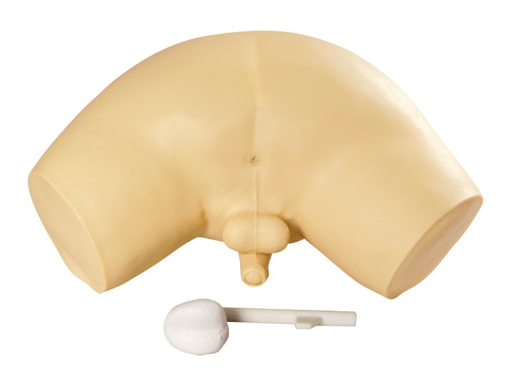 Prostataprüfungssimulator/klinische Simulation mit invasivem Karzinom