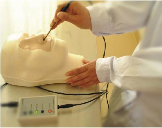 College, Krankenhaus, das Blutungstrainingsmodell der Simulationen nasales lernt