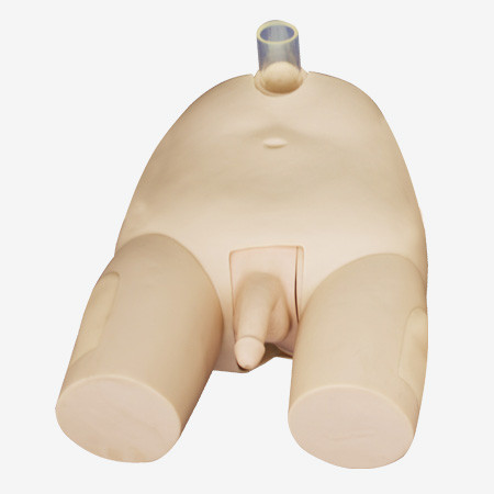 Modernes männliches Blasen-Durchbohren-Simulator-Krankenpflege-Männchen-pädagogische Ausrüstung
