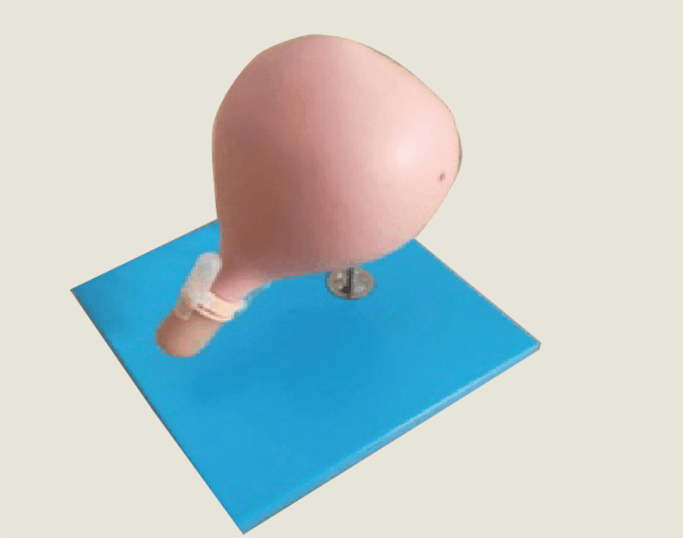 Training Beschneidungs-zervikales Modell-Gynecologic Simulator Fors Cerclage