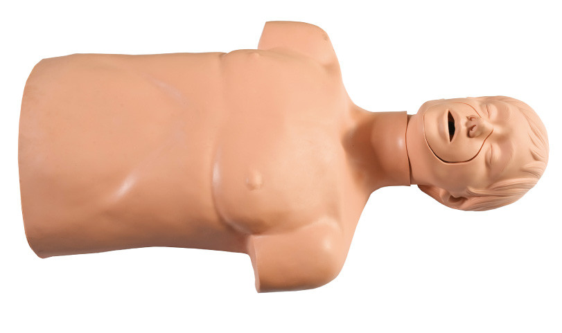 Der Körper-ersten Hilfe Umweltschutz PVCs halb- Männchen für das CPR-Operations-Üben