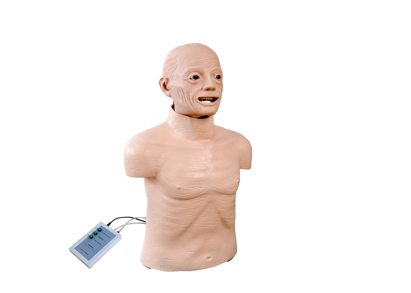 Älteres CPR-Simulator-Männchen mit anatomischen Marksteinen