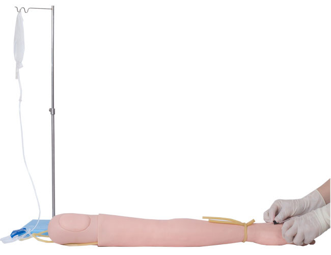 Praxis-Arm Einspritzungs-Transfusion PVCs Venipuncture