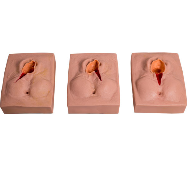 PVC-Vulva-nähender Kindergeburts-Simulator für Schultraining