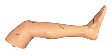 Nähen Sie Fähigkeitstrainingsausschnitt des Beines chirurgischen und nähende Trainingspuppe