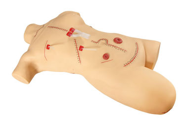 Erwachsener Körper mit dem Bein chirurgische Simulatoren/medizinische Simulation nähend und verbinden