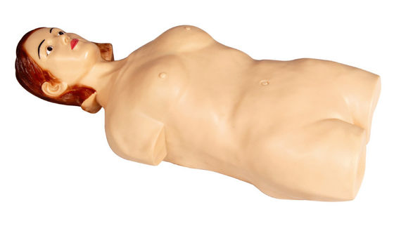 Weiblicher halb- Körper-Abdominal- Abtasten-Simulator-Männchen für College, Krankenhaus-Lernen